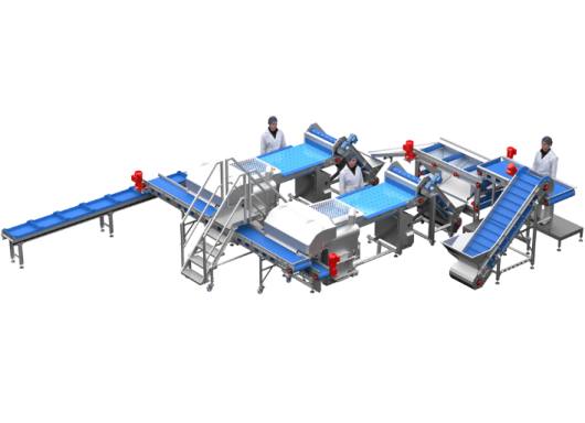 Strawberry Processing line Strawberry Processing line